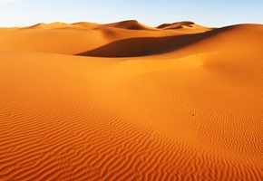 Sahara